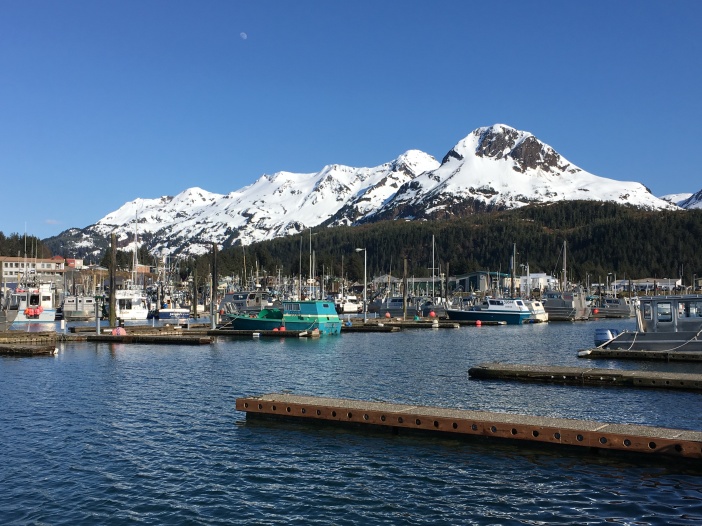 Springtime at the Harbor